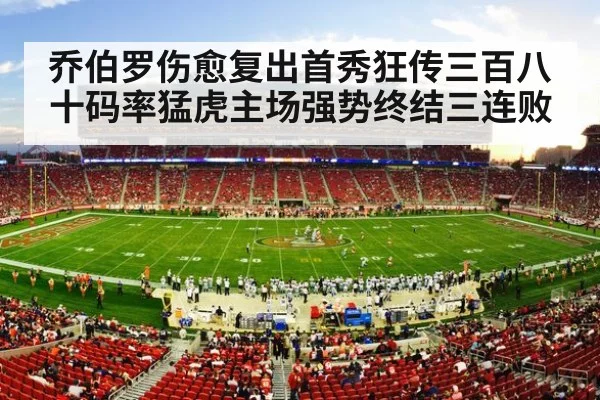 NFL football stadium